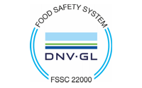 dnv gl